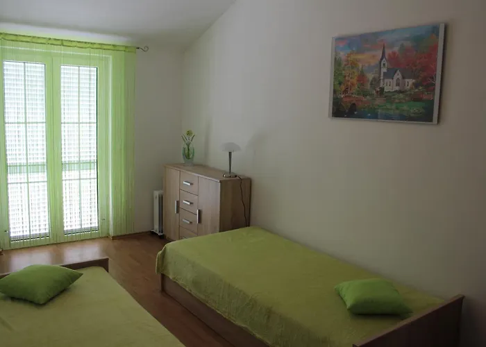 Apartment Mladen