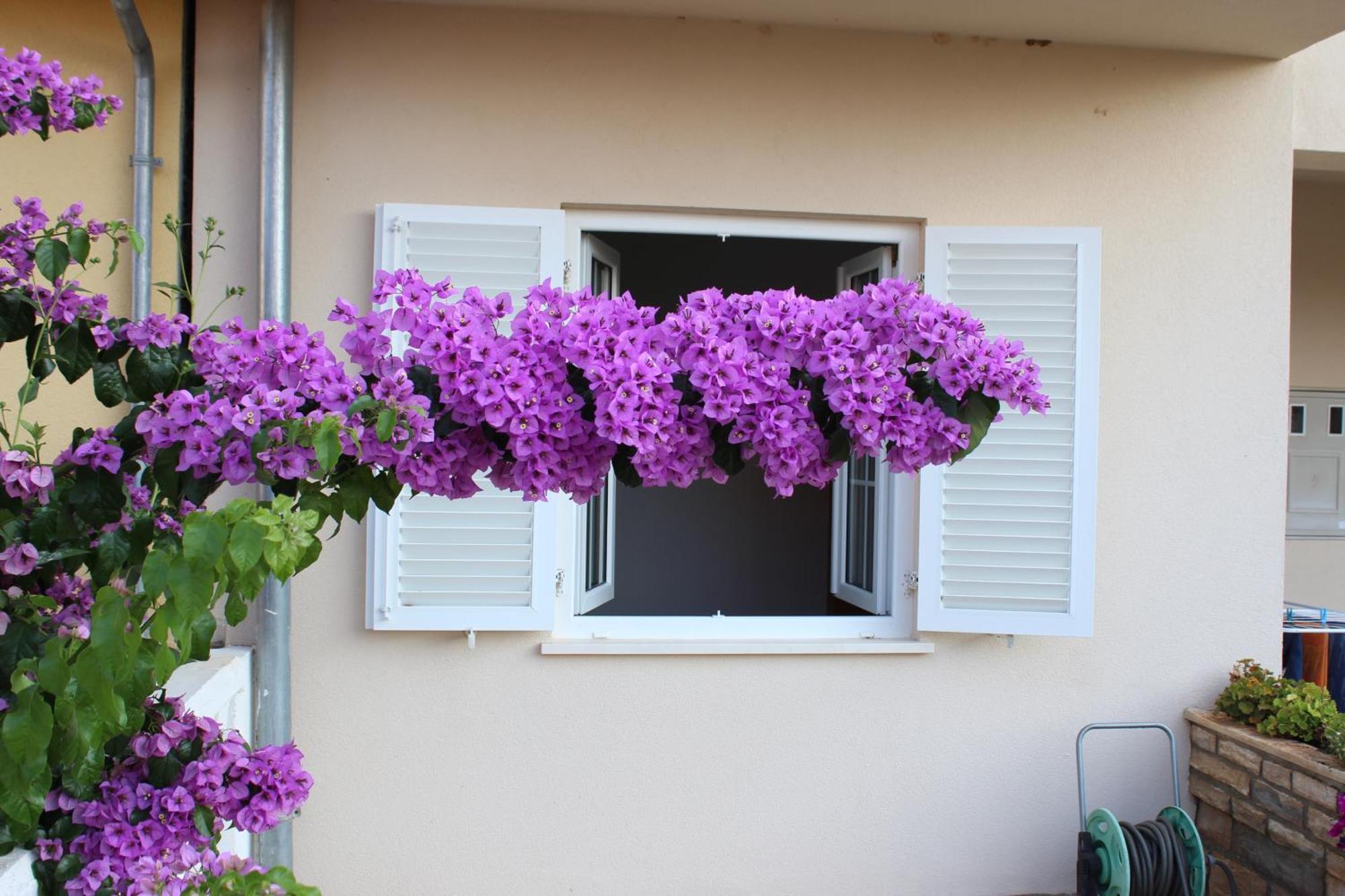 Mladen Apartment *